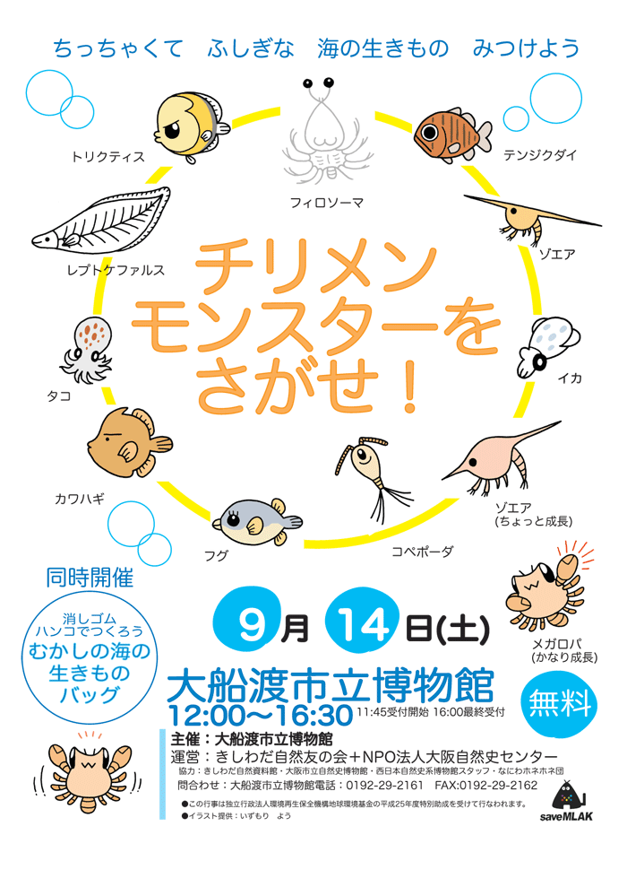2013ofunato1.gif